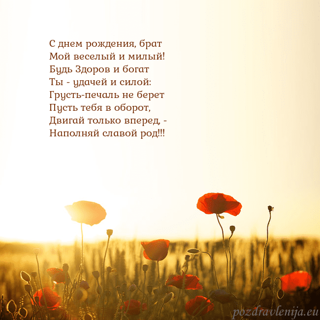 Электронная открытка с полем маков