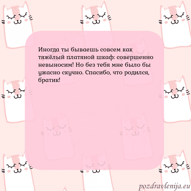 Розовая открытка с забавными кошками