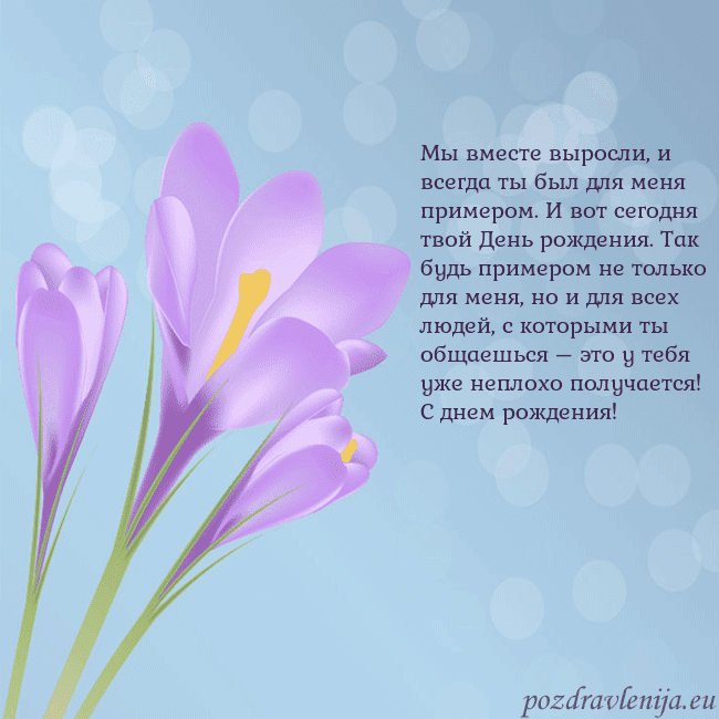 Открытка с крокусом
