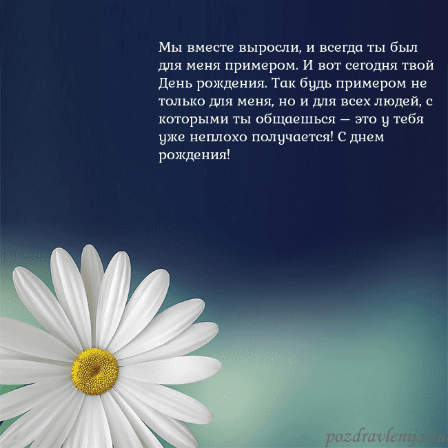 Открытка с большой ромашкой