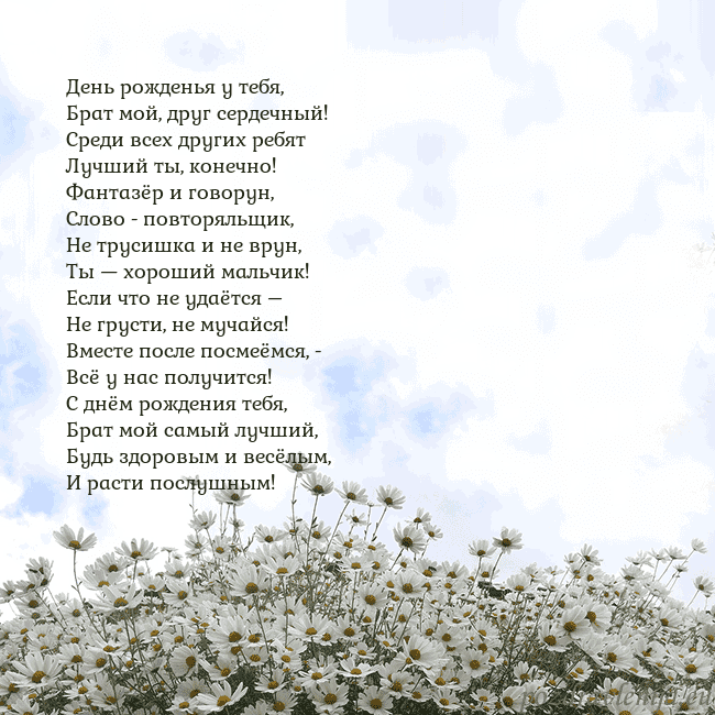 Открытка с ромашками