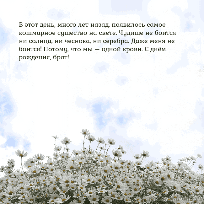 Открытка с ромашками