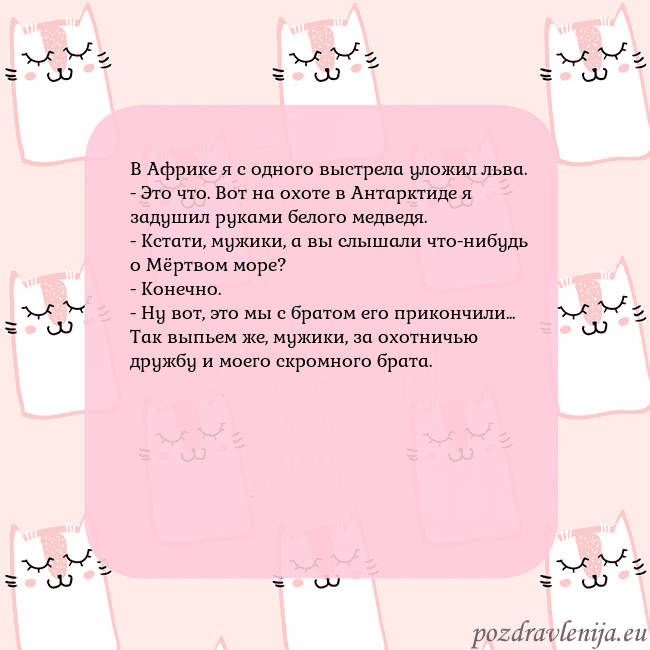 Розовая открытка с забавными кошками