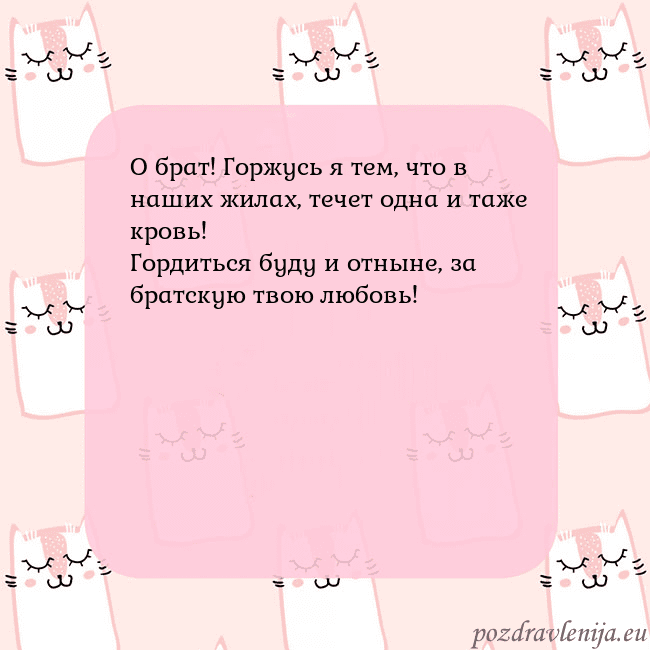 Розовая открытка с забавными кошками