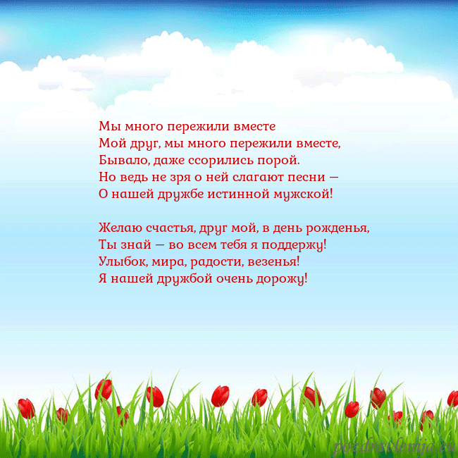 Открытка с тюльпанами