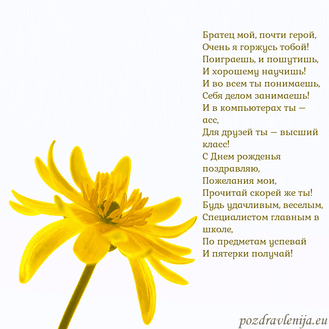 Открытка с желтым цветком