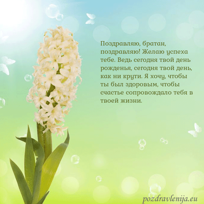 Открытка с гиацинтом
