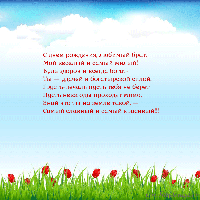 Открытка с тюльпанами