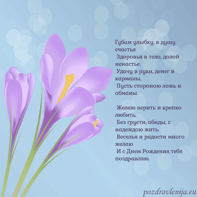 Открытка с крокусом