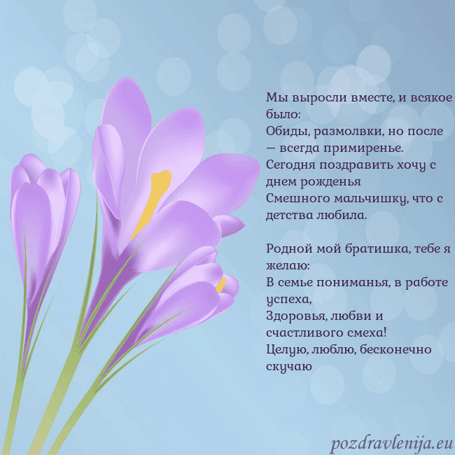 Открытка с крокусом