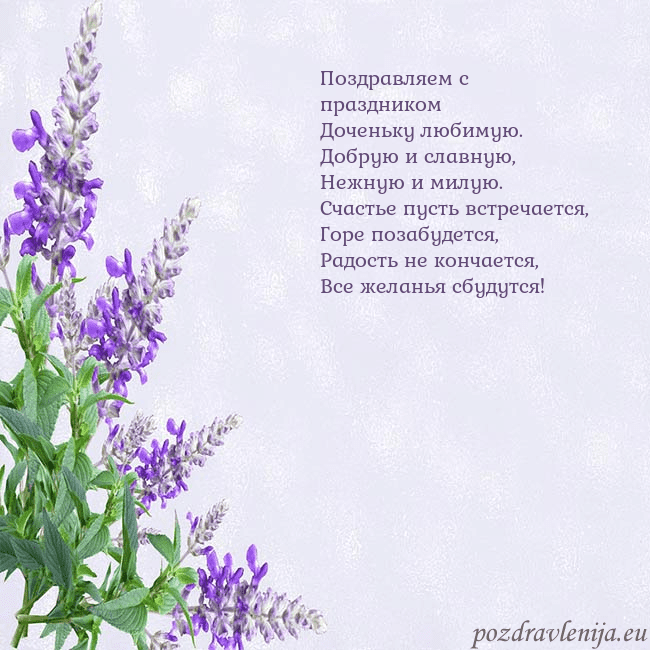 Открытка с люпинами