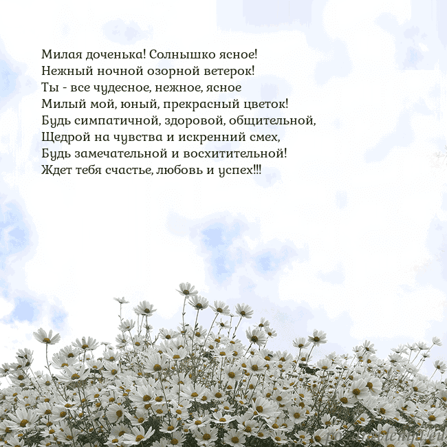 Открытка с ромашками