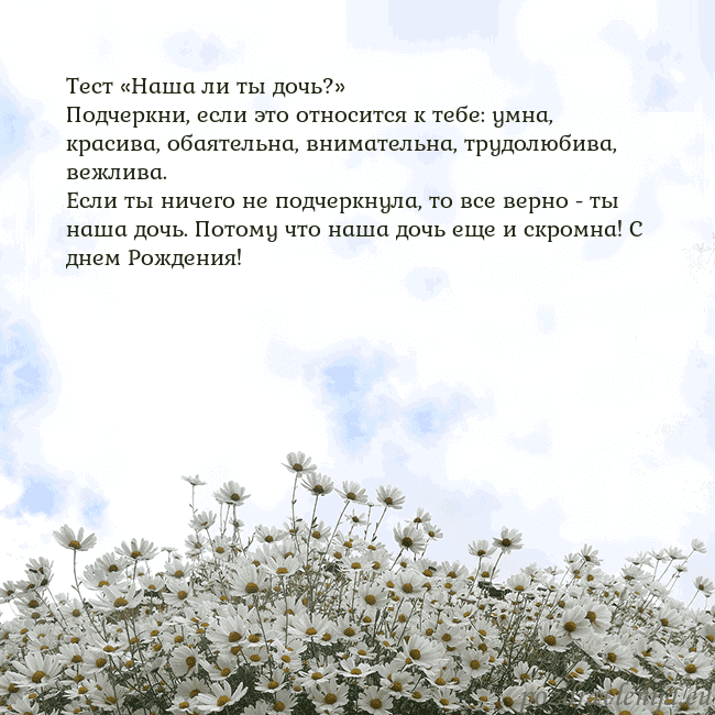 Открытка с ромашками