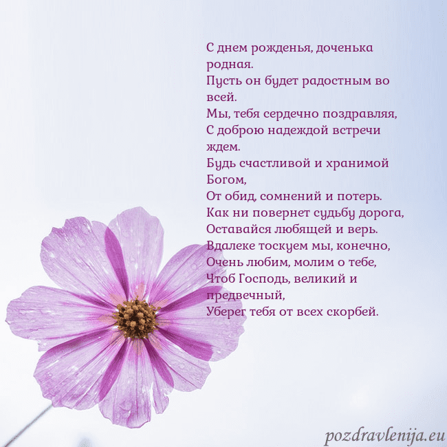 Электронная открытка с фиолетовым цветком