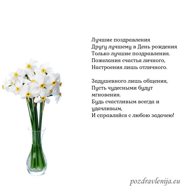 Открытка с нарциссами