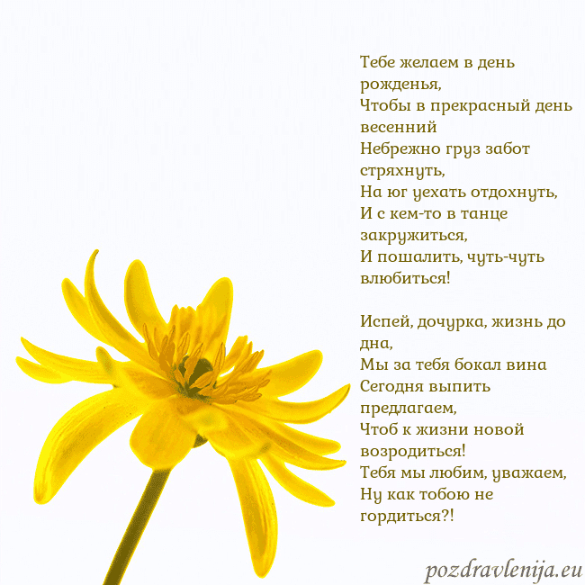Открытка с желтым цветком
