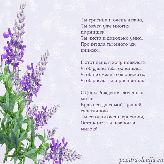 Открытка с люпинами