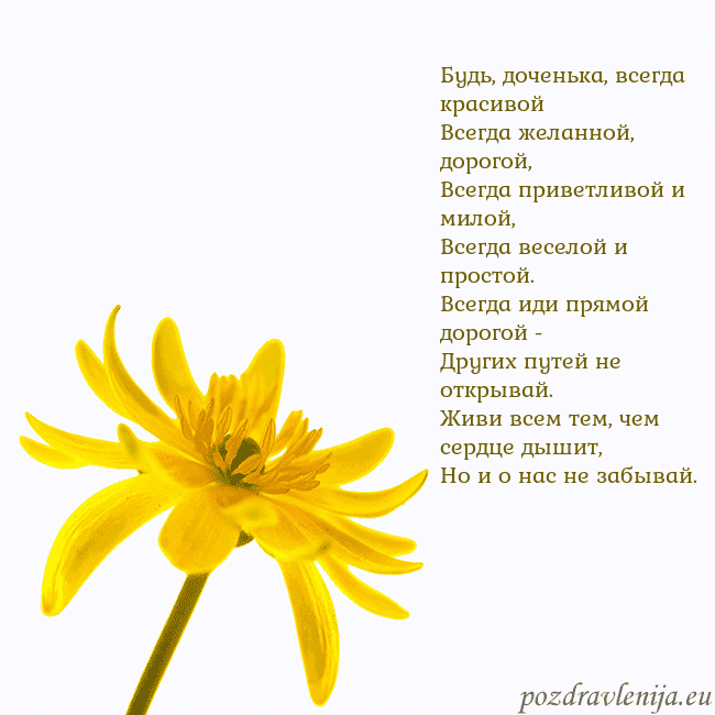 Открытка с желтым цветком