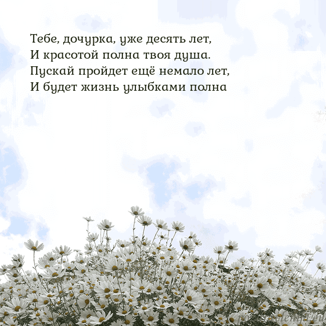 Открытка с ромашками
