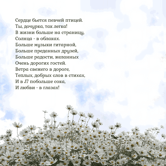 Открытка с ромашками