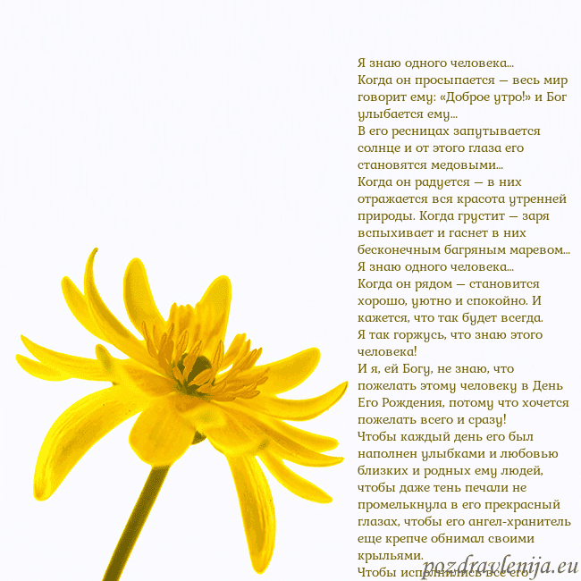 Открытка с желтым цветком Я знаю одного человека…
Когда он просыпается – вес Открытка с желтым цветком