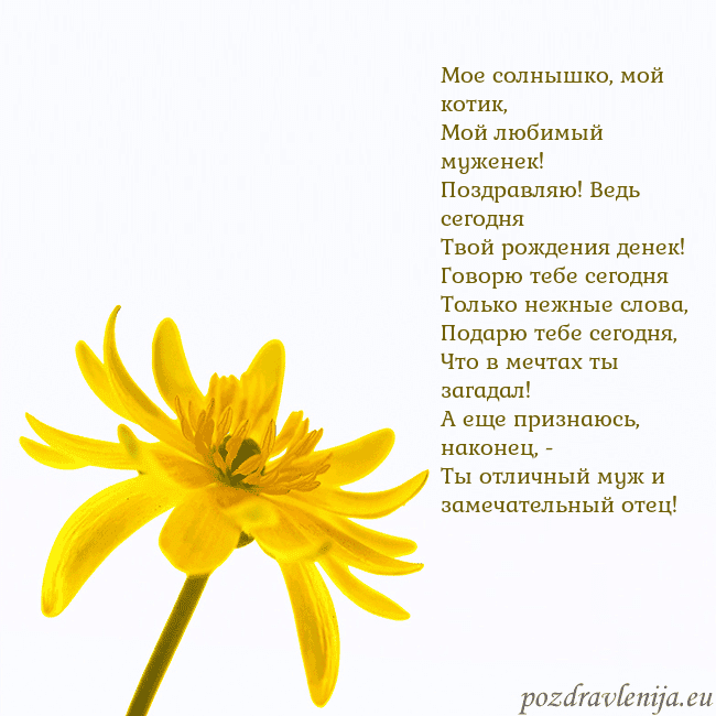 Открытка с желтым цветком