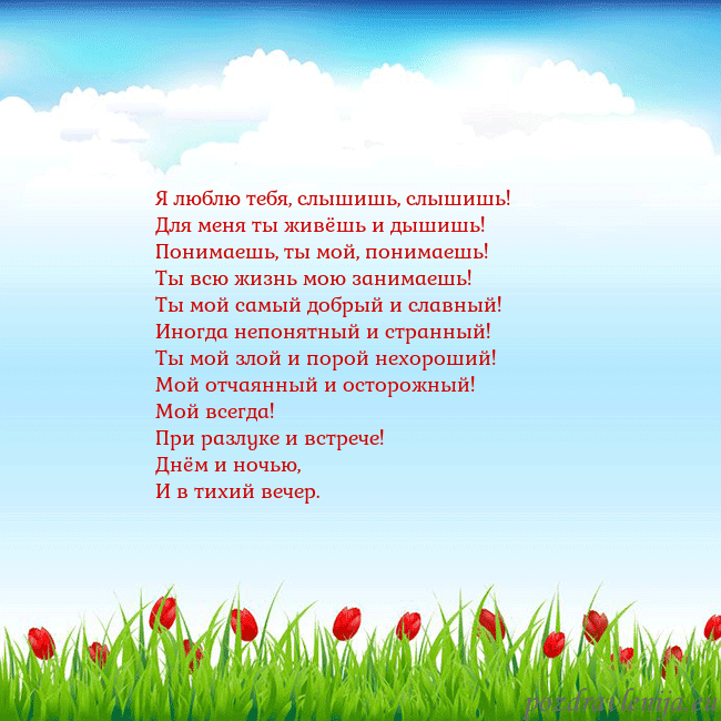 Открытка с тюльпанами