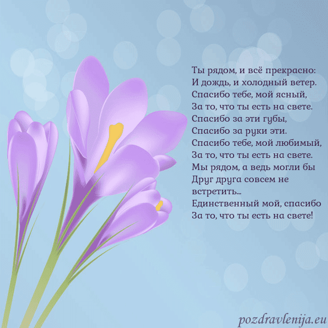 Открытка с крокусом