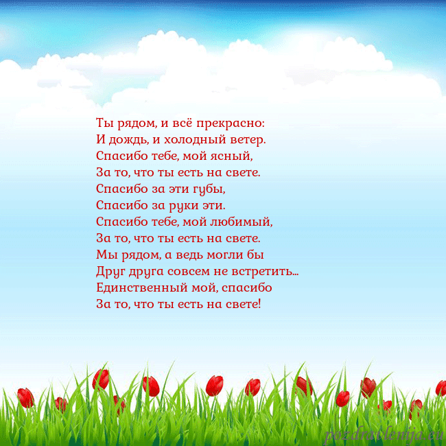 Открытка с тюльпанами