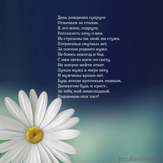Открытка с большой ромашкой