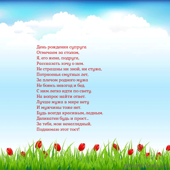 Открытка с тюльпанами