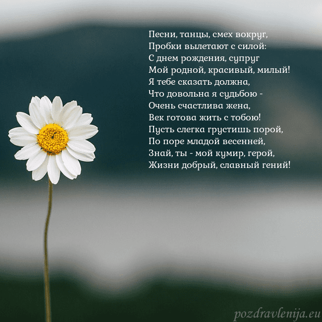 Электронная открытка с ромашкой