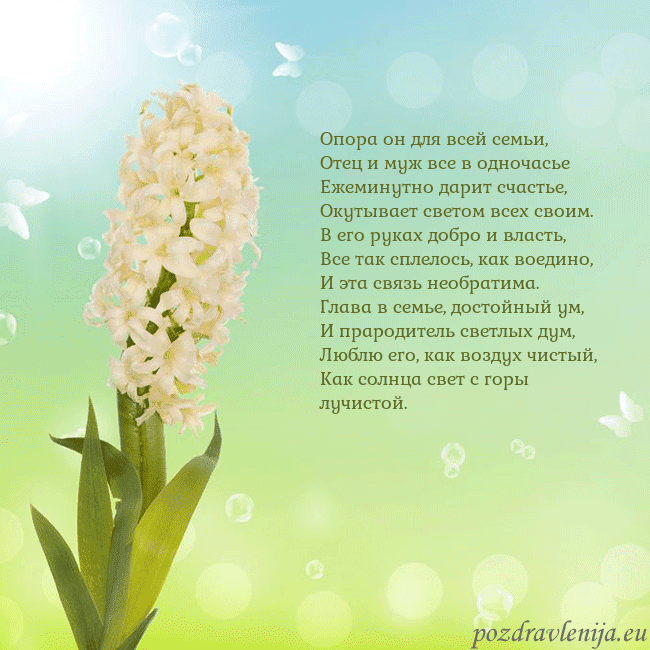 Открытка с гиацинтом