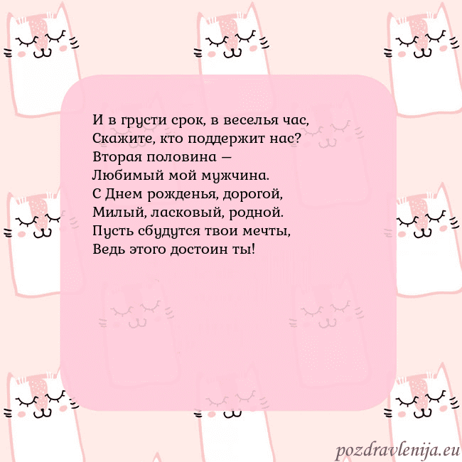 Розовая открытка с забавными кошками