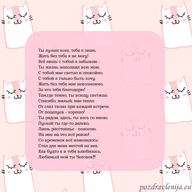 Розовая открытка с забавными кошками Ты лучше всех, тебя я знаю,
Жить без тебя я не мог Розовая открытка с забавными кошками