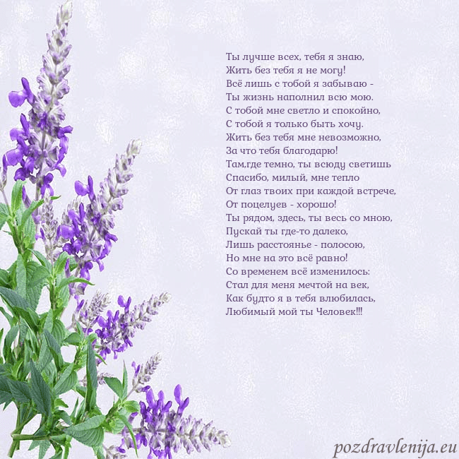 Открытка с люпинами Ты лучше всех, тебя я знаю,
Жить без тебя я не мог Открытка с люпинами