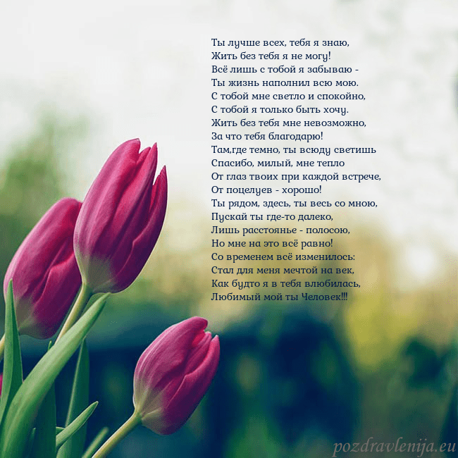 Открытка с тремя красными тюльпанами Ты лучше всех, тебя я знаю,
Жить без тебя я не мог Открытка с тремя красными тюльпанами