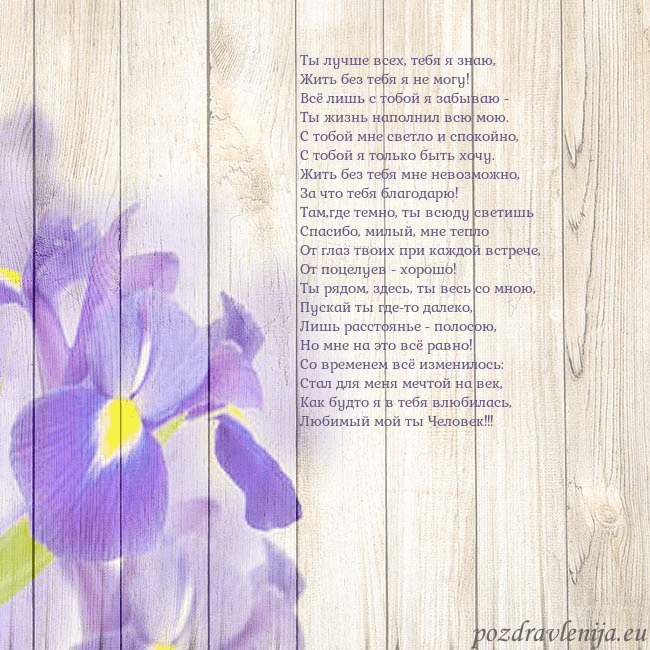 Открытка с ирисами Ты лучше всех, тебя я знаю,
Жить без тебя я не мог Открытка с ирисами