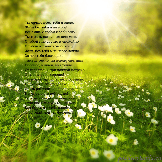 Электронная открытка с утопающим в солнечном свете лугом Ты лучше всех, тебя я знаю,
Жить без тебя я не мог Электронная открытка с утопающим в солнечном свете лугом