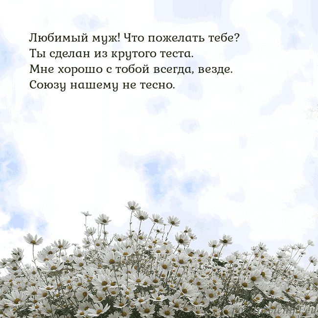 Открытка с ромашками