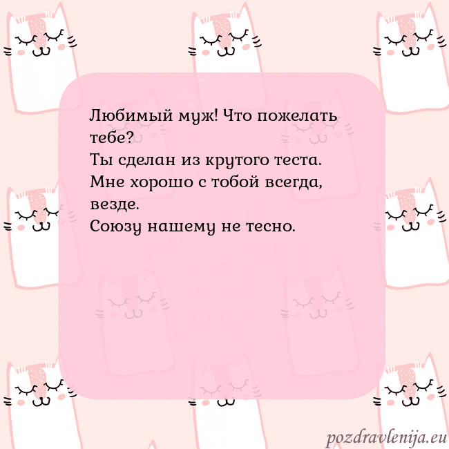 Розовая открытка с забавными кошками