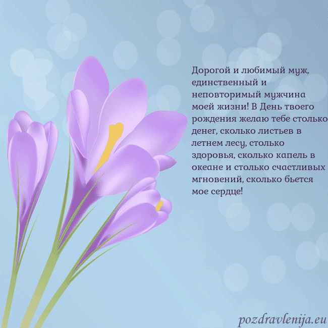 Открытка с крокусом