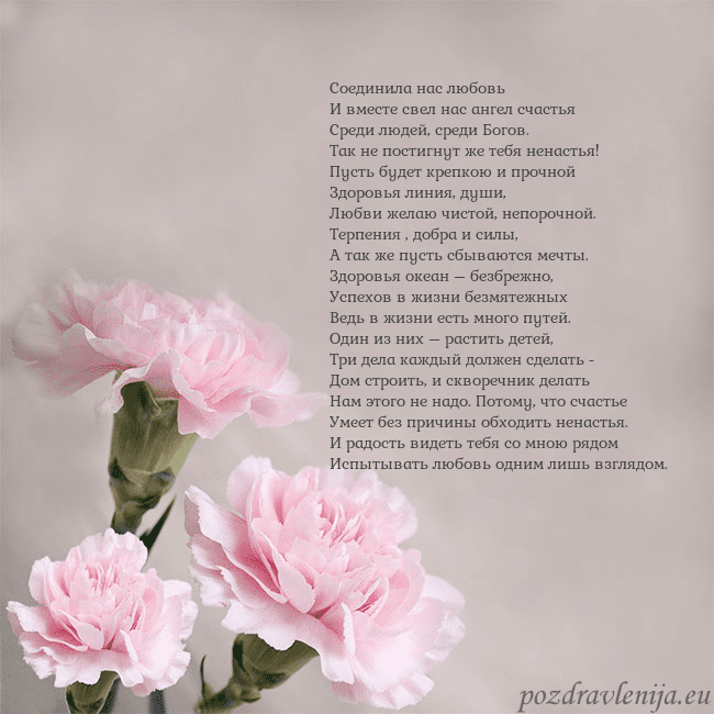 Открытка с розовыми гвоздиками Соединила нас любовь
И вместе свел нас ангел счаст Открытка с розовыми гвоздиками