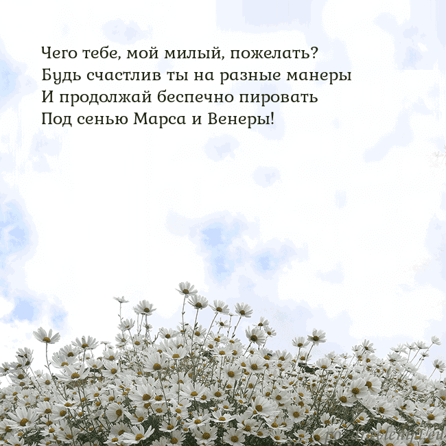 Открытка с ромашками