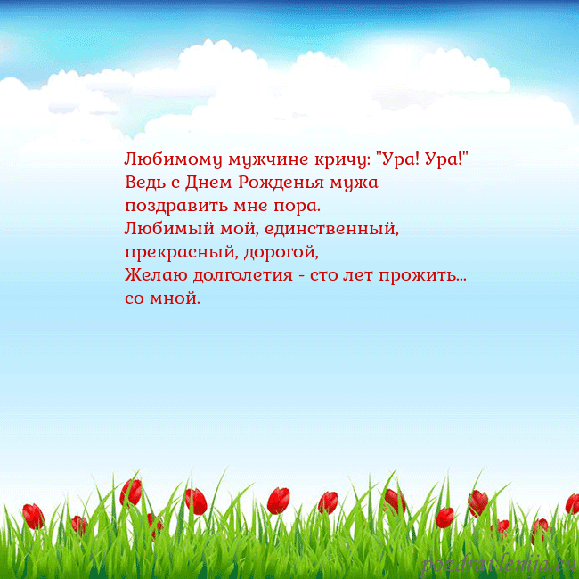 Открытка с тюльпанами