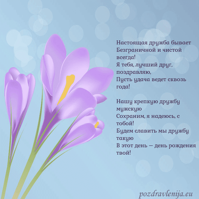 Открытка с крокусом