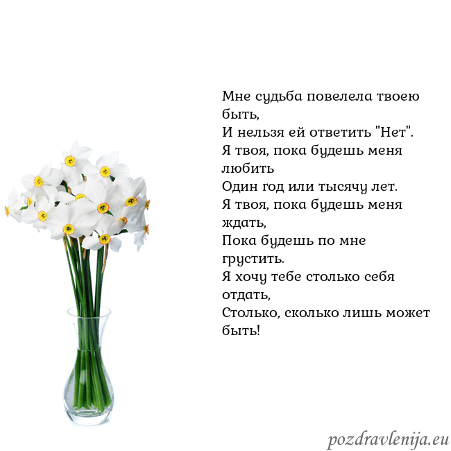 Открытка с нарциссами