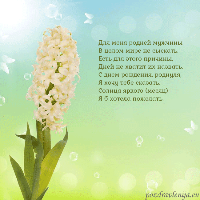 Открытка с гиацинтом