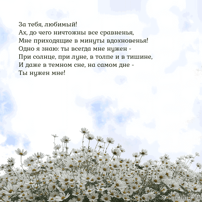 Открытка с ромашками