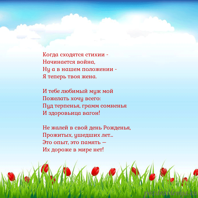 Открытка с тюльпанами